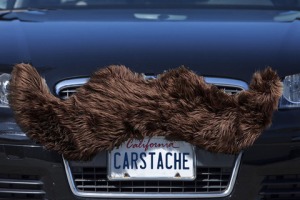 Yes, that's right. A mustache for your car,